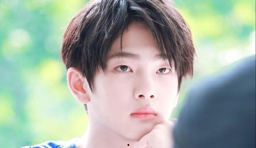 娱乐吃瓜小将王惠小说,娱乐圈的吃瓜小将,揭秘明星背后的故事