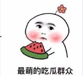 搞笑沙雕吃瓜娱乐圈小说