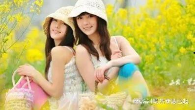 娱乐吃瓜酱闺蜜小说,吃瓜酱的娱乐江湖