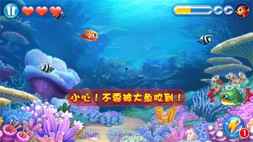 大鱼吃瓜娱乐,揭秘娱乐圈幕后故事